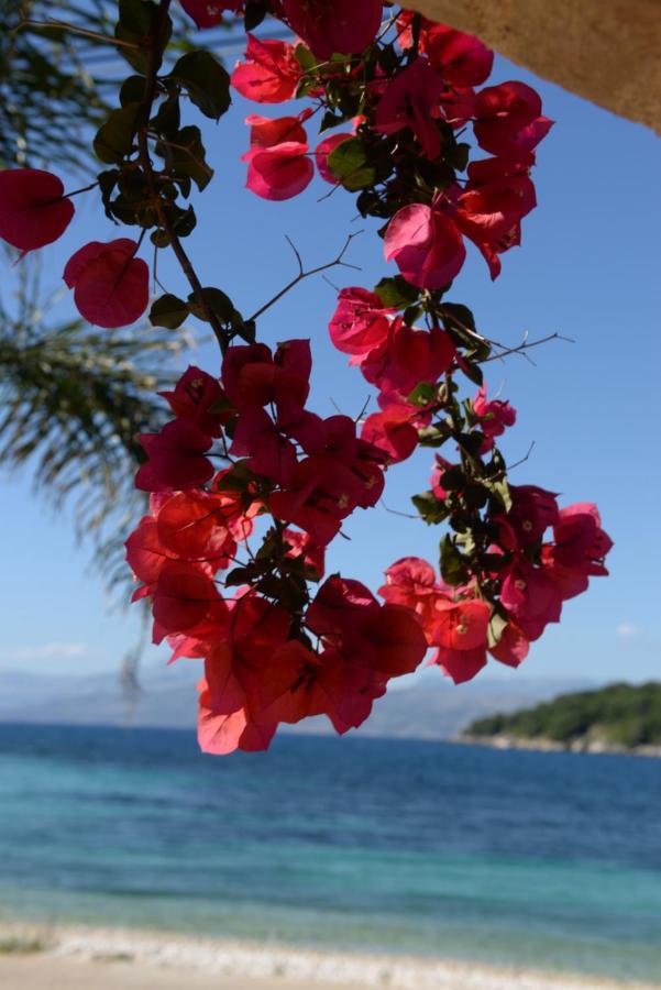Villa Melanthi Kassiopi Corfu Eksteriør bilde